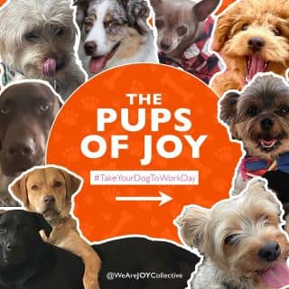 Shout out to the fur babies that bring the members of #TeamJOY unconditional love, support, and encouragement in the form of licks and kisses. 🐶🧡​

#WeAreJOY #Puppygram #TakeYourDogToWorkDay #AgencyLife